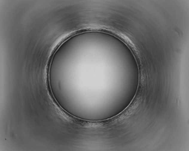 X0000112931183200909071027