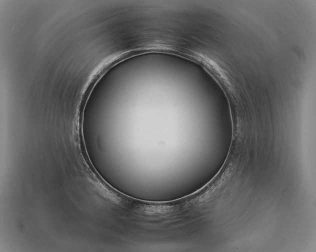 X0000112931184200909071027