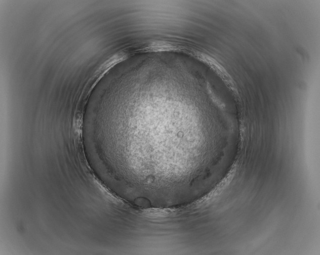 X0000112931185200909071027