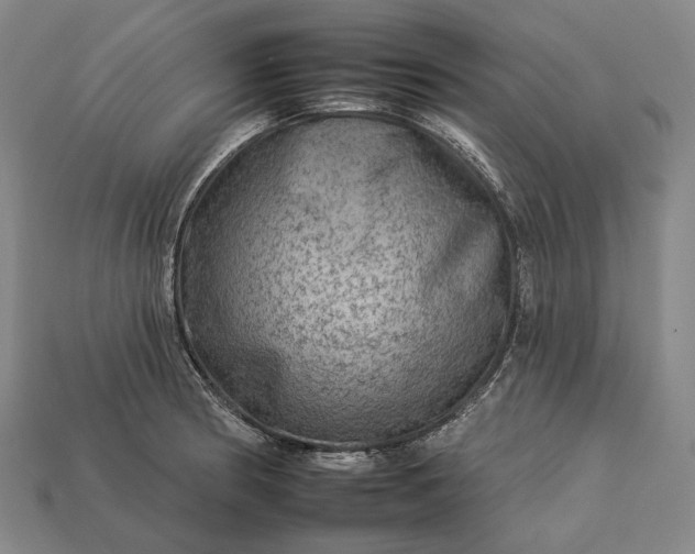 X0000112931186200909071027