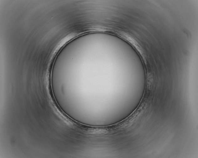 X0000112931187200909071027