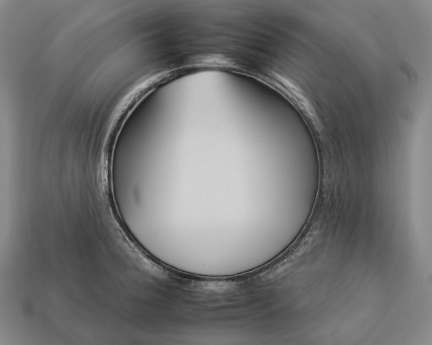 X0000112931188200909071027