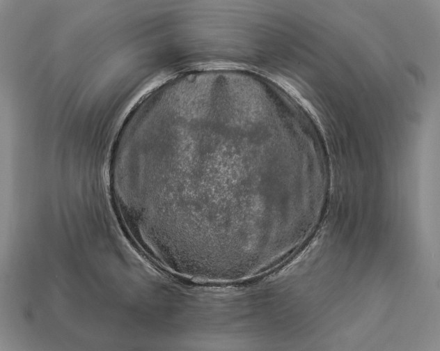 X0000112931189200909071027