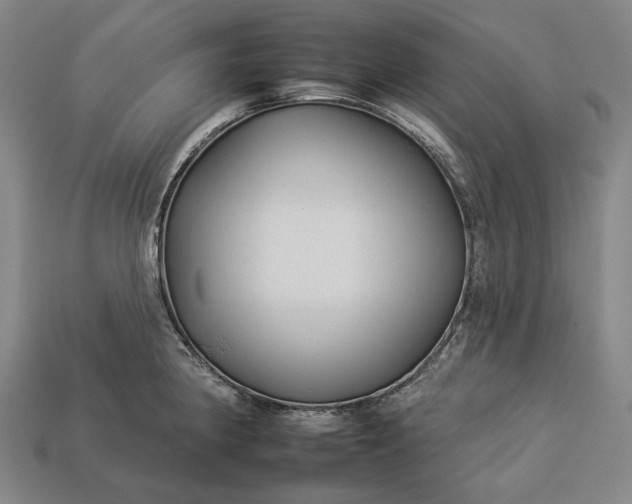 X0000112931190200909071027