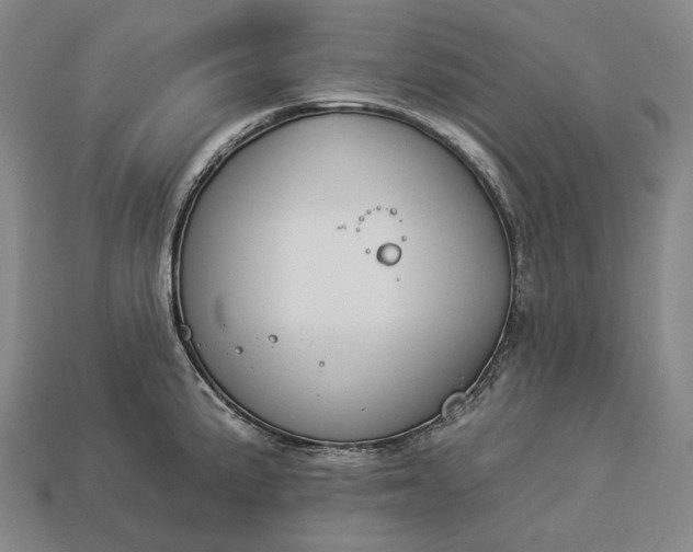 X0000112931191200909071027