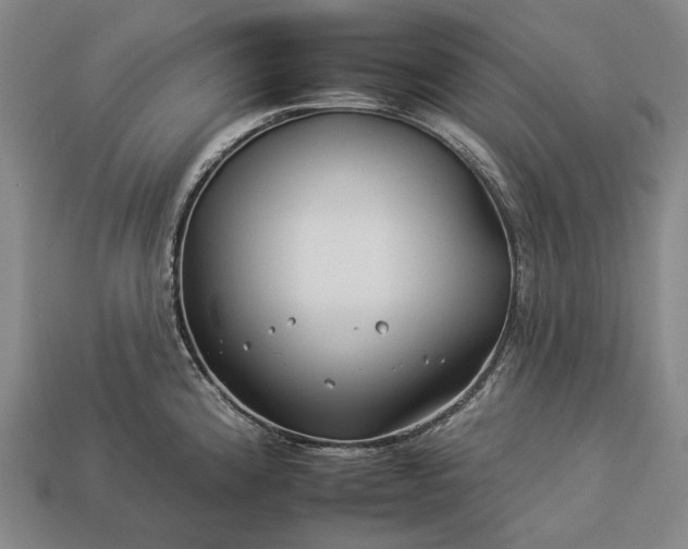 X0000112931192200909071027