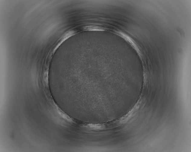 X0000112931194200909071027