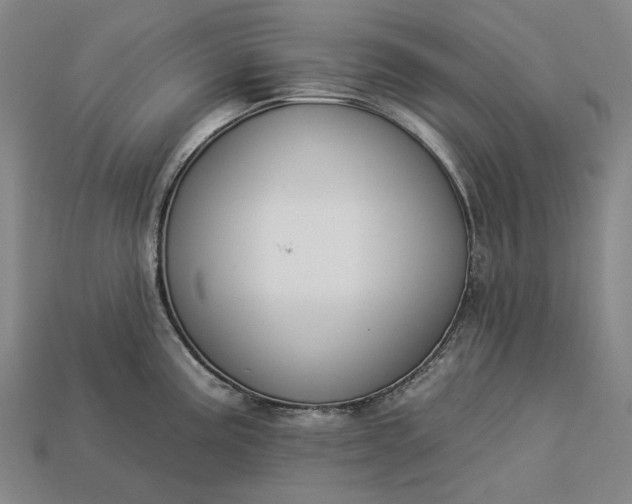 X0000112931195200909071027