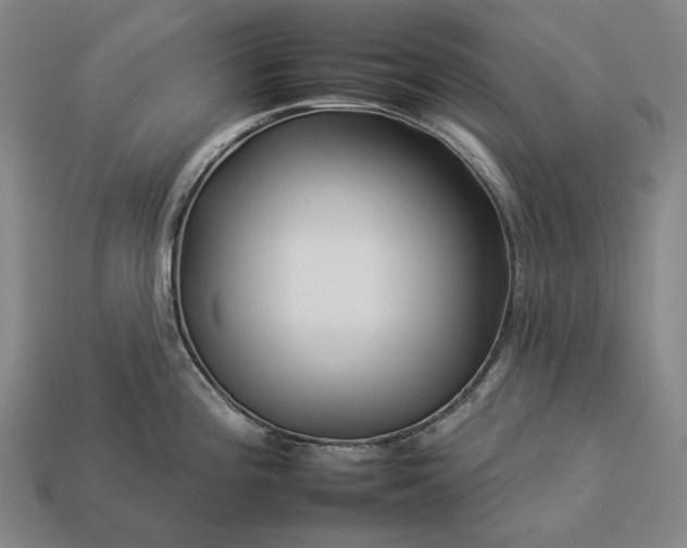 X0000112931196200909071027