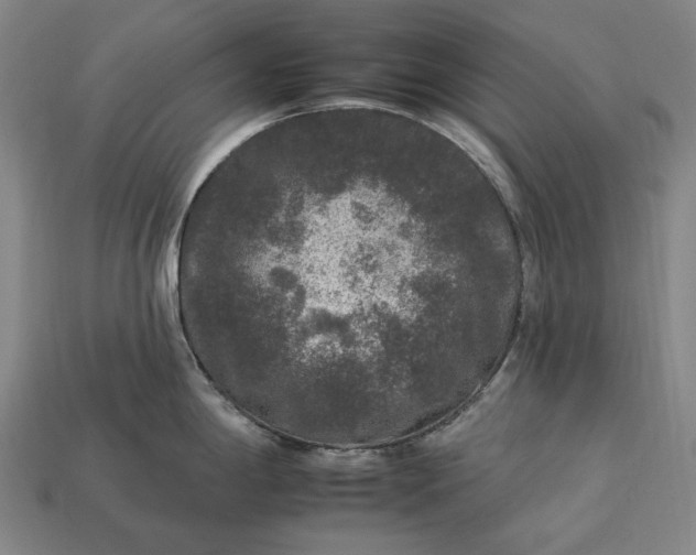 X0000112931198200909071027