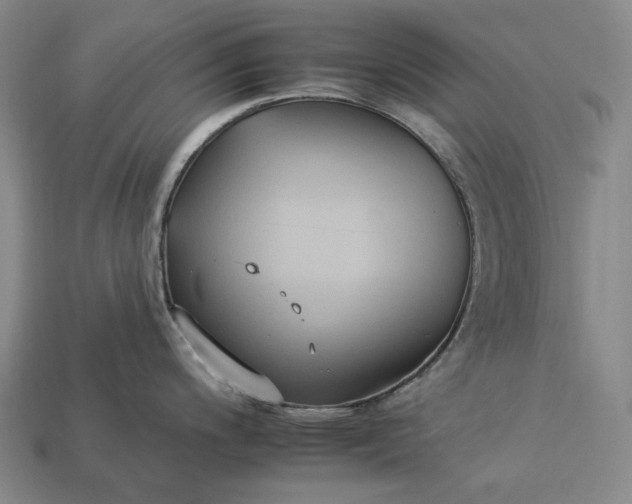 X0000112931200200909071027