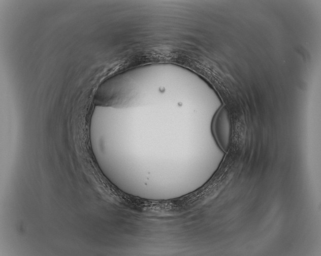 X0000112931201200909071026