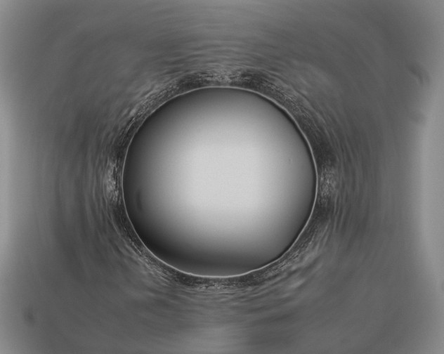 X0000112931202200909071026