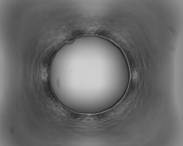 X0000112931204200909071026