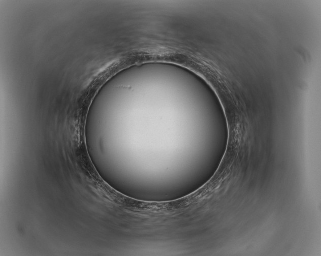 X0000112931205200909071026