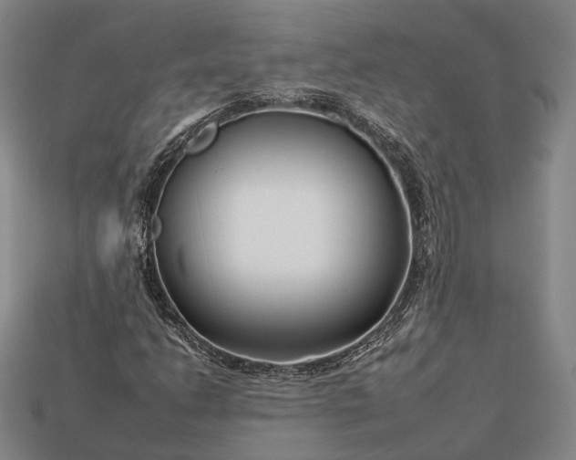 X0000112931206200909071026