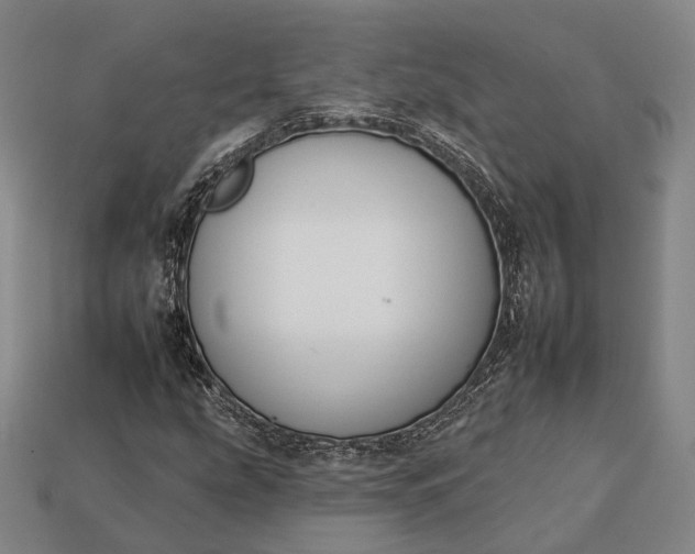 X0000112931207200909071026