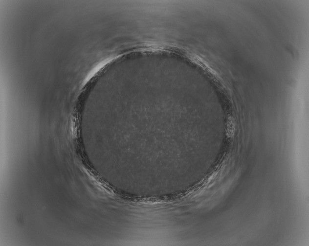 X0000112931208200909071026