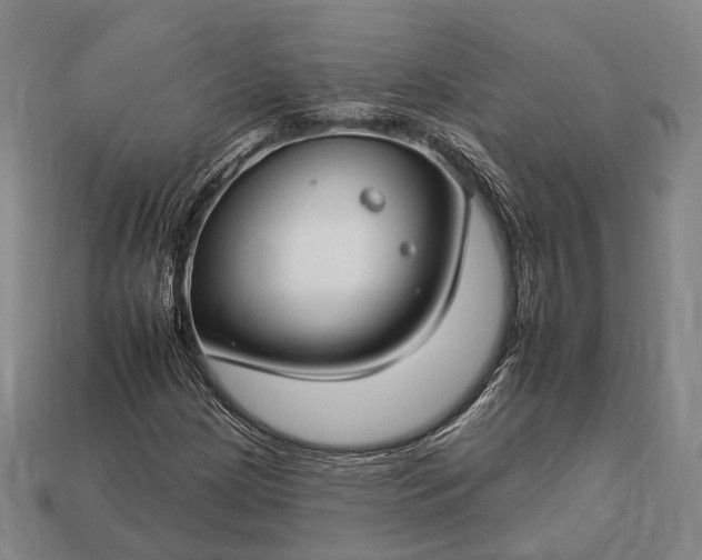 X0000112931209200909071026