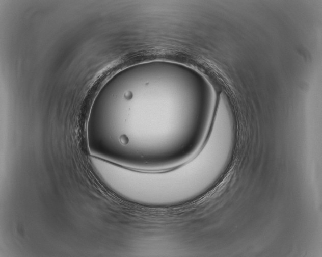 X0000112931210200909071026