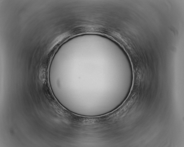 X0000112931211200909071026