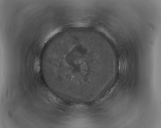 X0000112931213200909071026