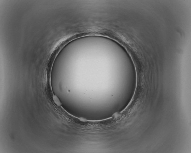 X0000112931214200909071026