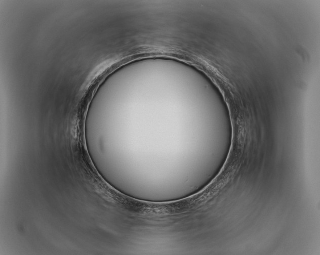 X0000112931215200909071026