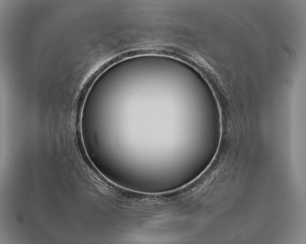 X0000112931216200909071026