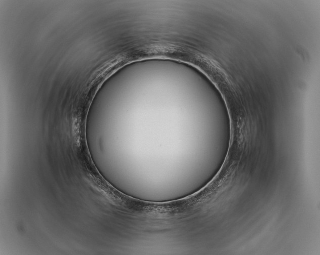 X0000112931217200909071026