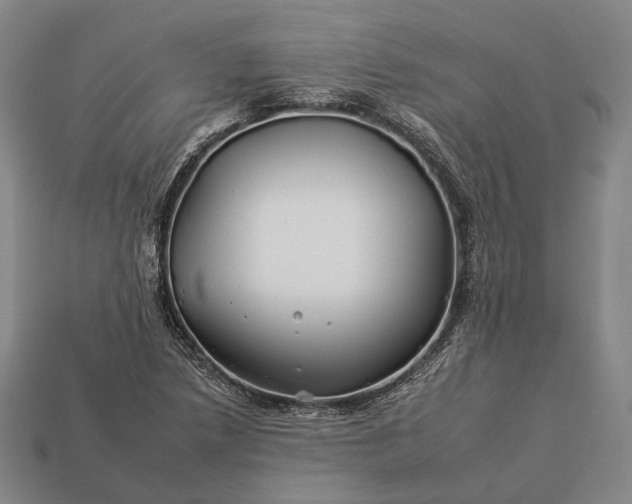 X0000112931218200909071026