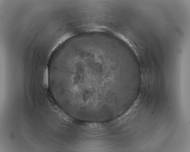 X0000112931219200909071026