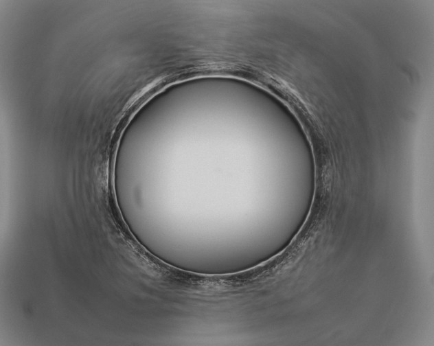 X0000112931220200909071026