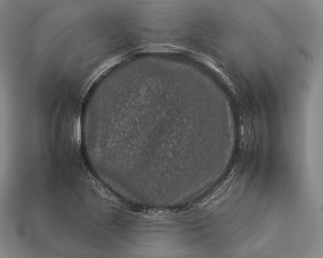 X0000112931221200909071026