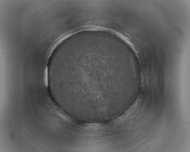 X0000112931223200909071026