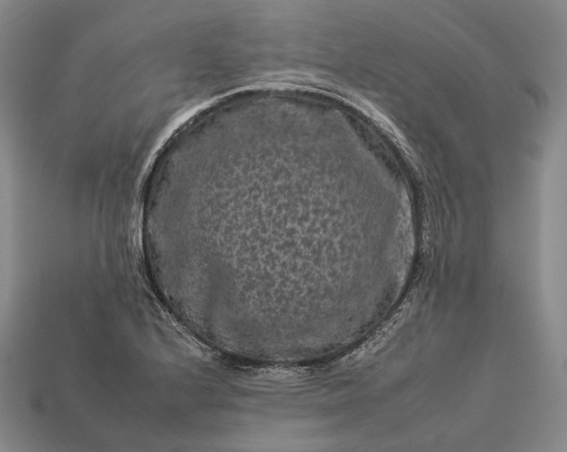 X0000112931224200909071026