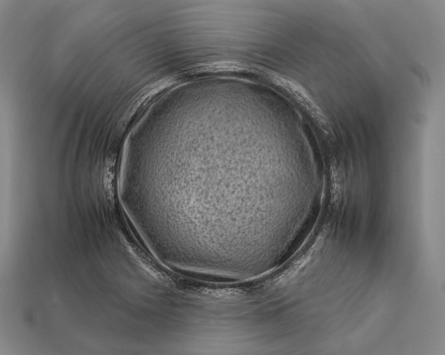 X0000112931225200909071026