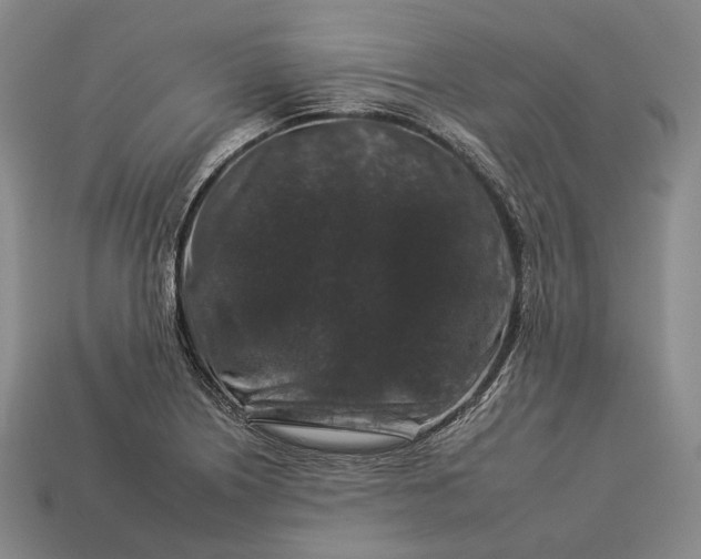 X0000112931226200909071026