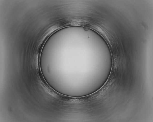 X0000112931227200909071026