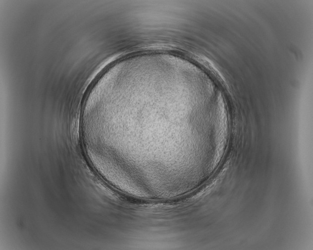 X0000112931228200909071026