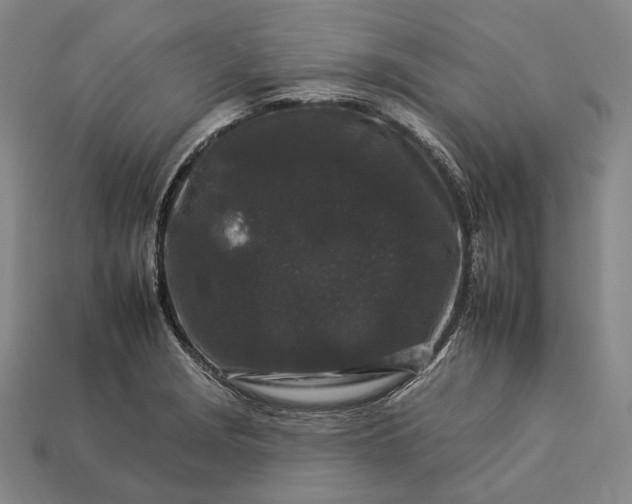 X0000112931229200909071026