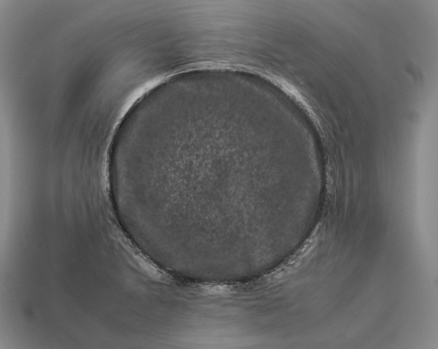 X0000112931230200909071026