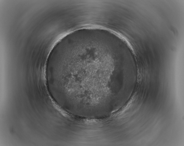 X0000112931231200909071026