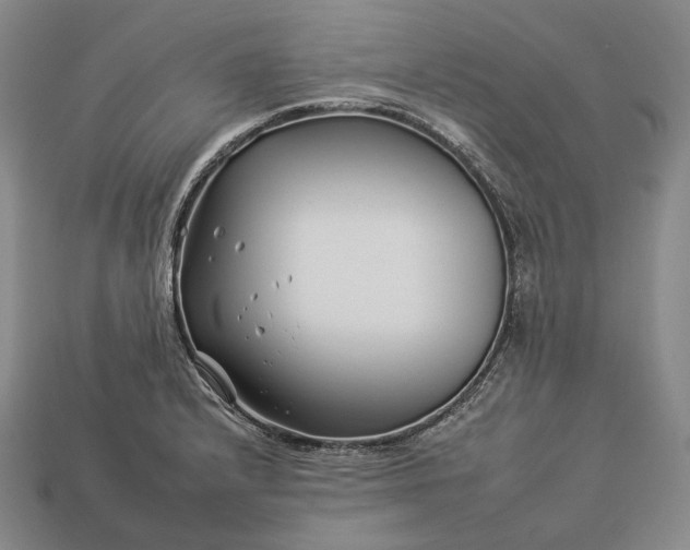 X0000112931232200909071026