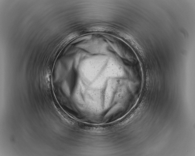 X0000112931233200909071026