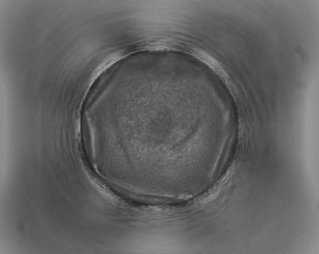 X0000112931234200909071026