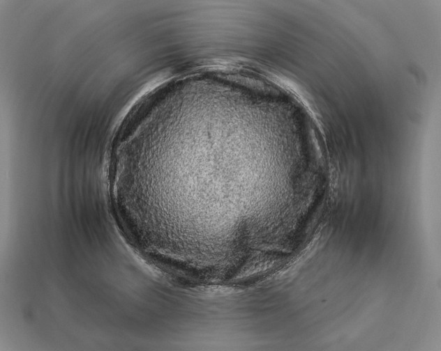 X0000112931235200909071026