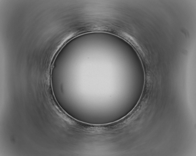 X0000112931236200909071026