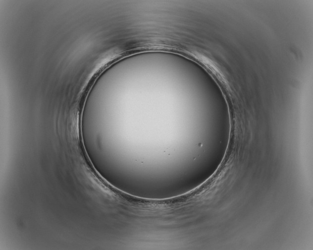 X0000112931238200909071027