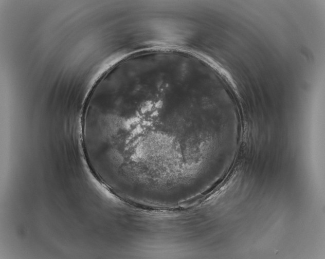 X0000112931239200909071027